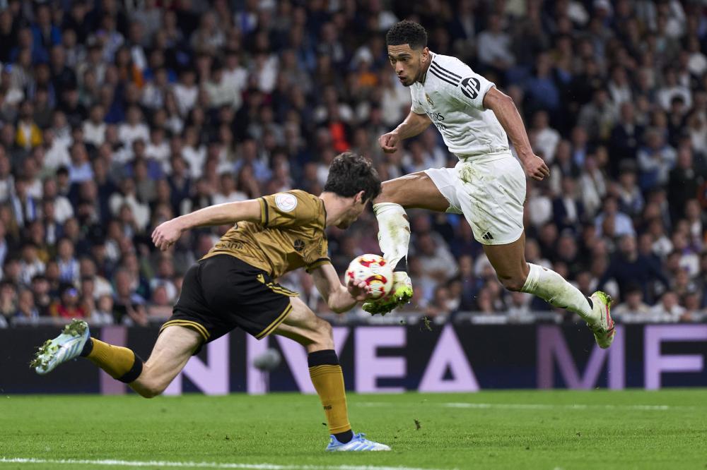 他们在引进 他们在引进